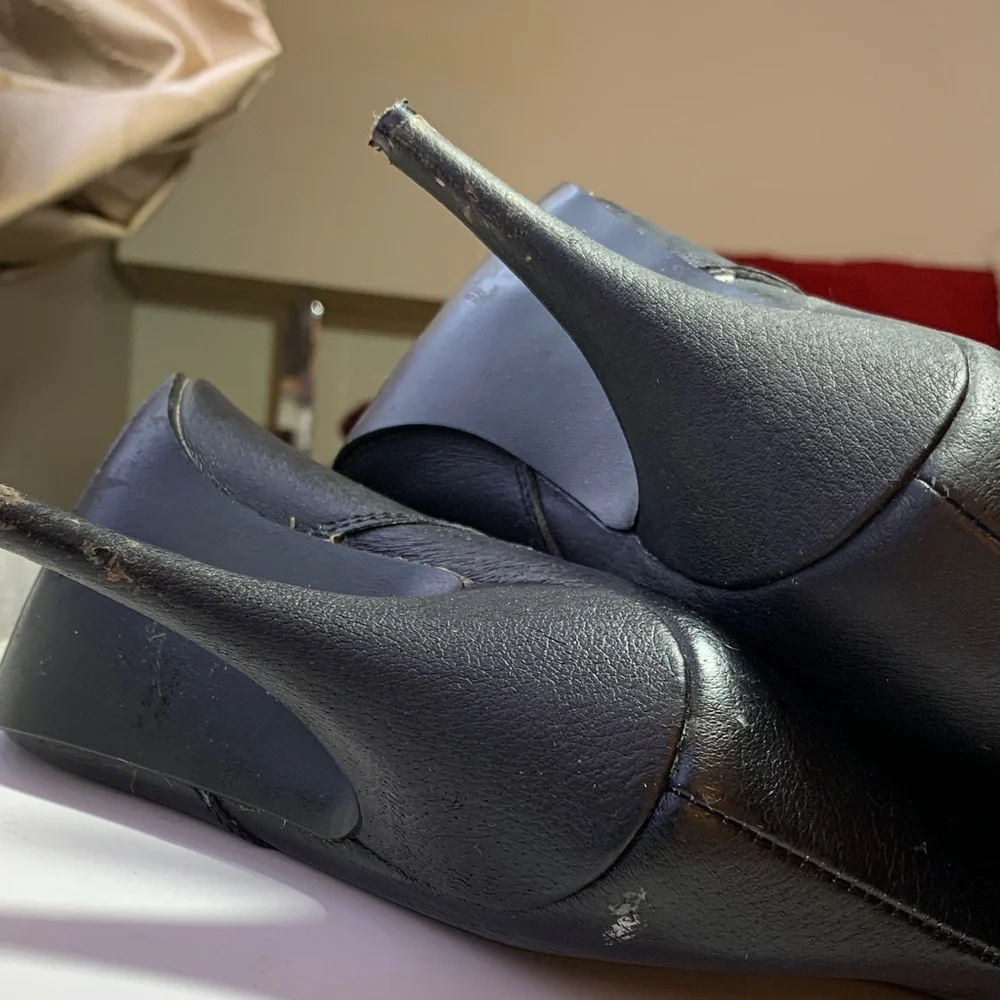 Pleaser sleek sophisticated